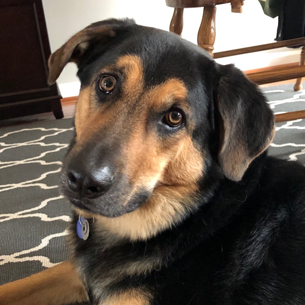 Meet your Posher, Allison